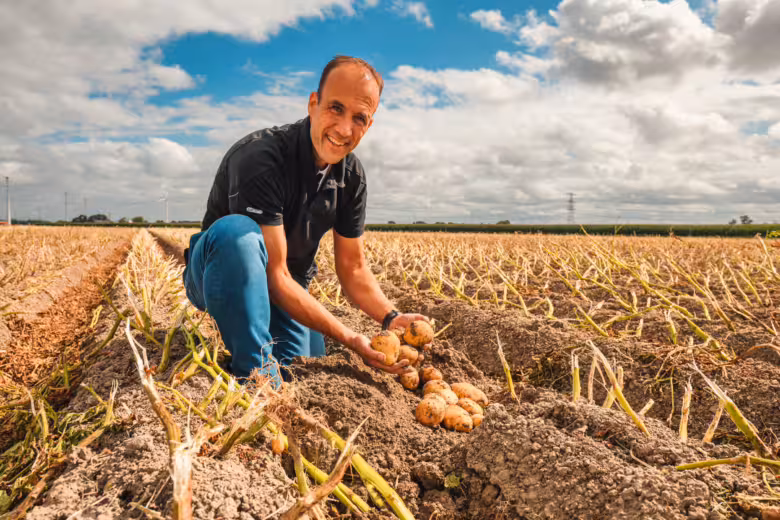 The Groningen potato, a familiar hero on the plate